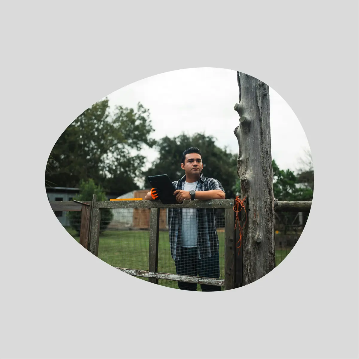 Landscape Egg  Shape Acrylic Photo