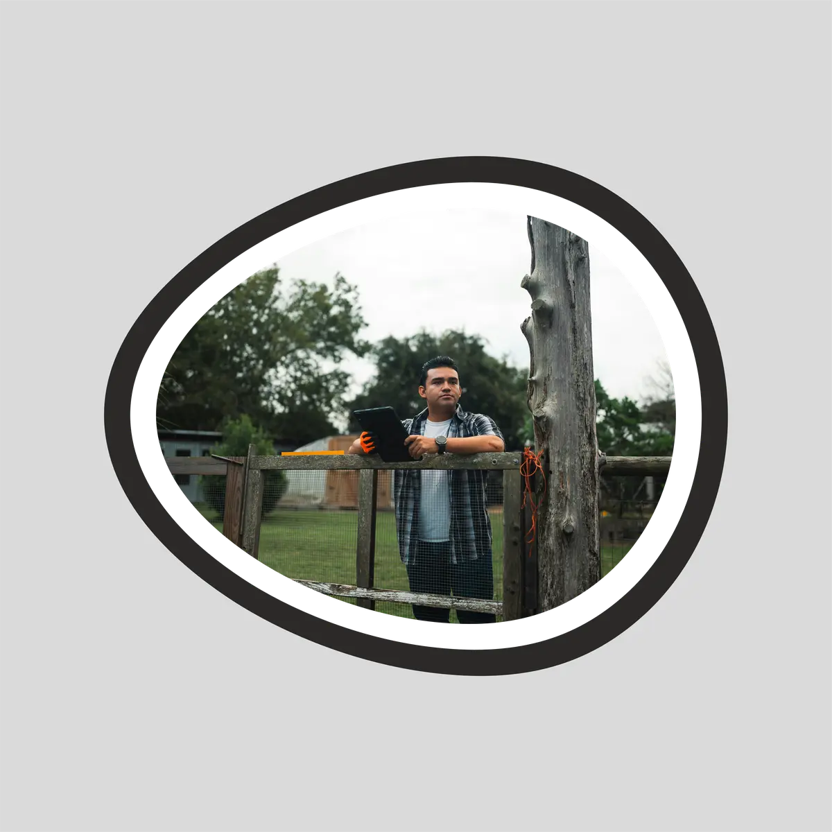 Landscape Egg  Shape Acrylic Photo  with frame